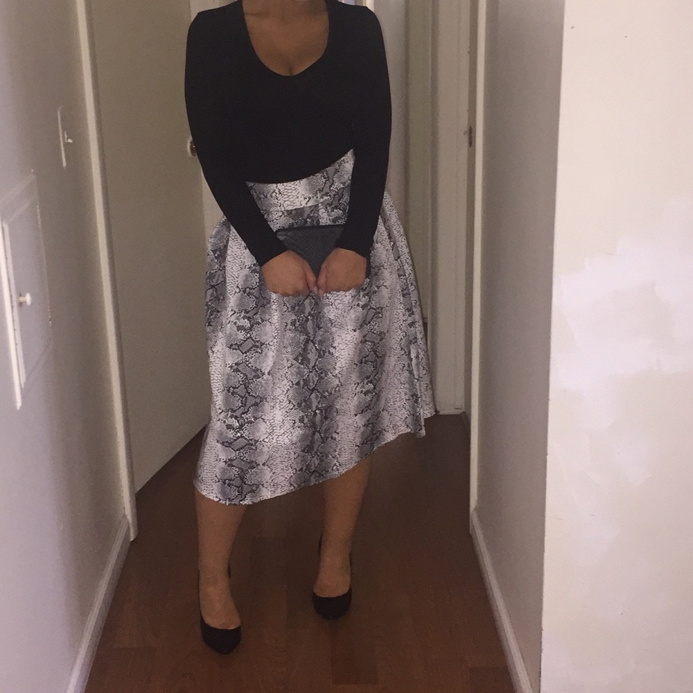 Printed Midi Skater Skirt